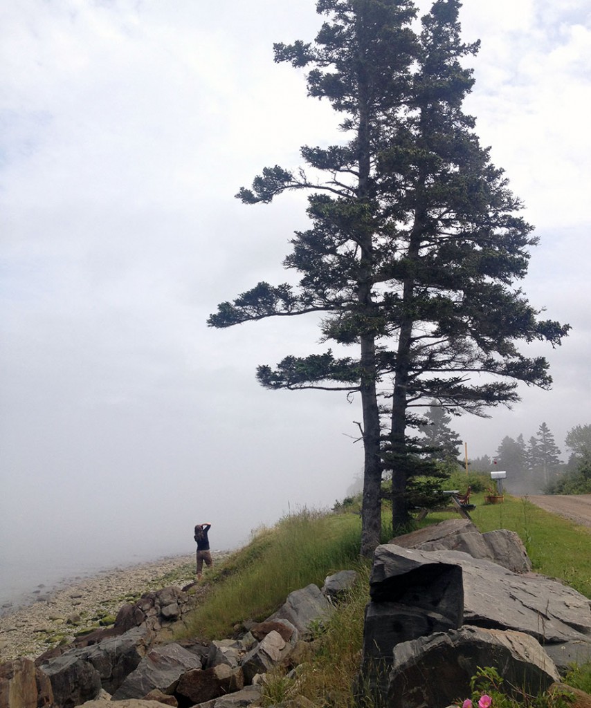 Beach and Fog at Black Rock