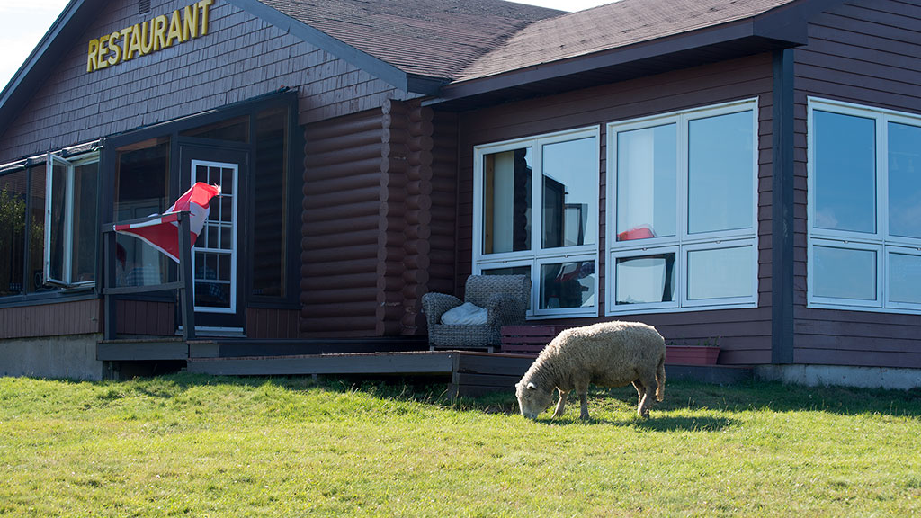 Brier Island Lodge Restauraunt