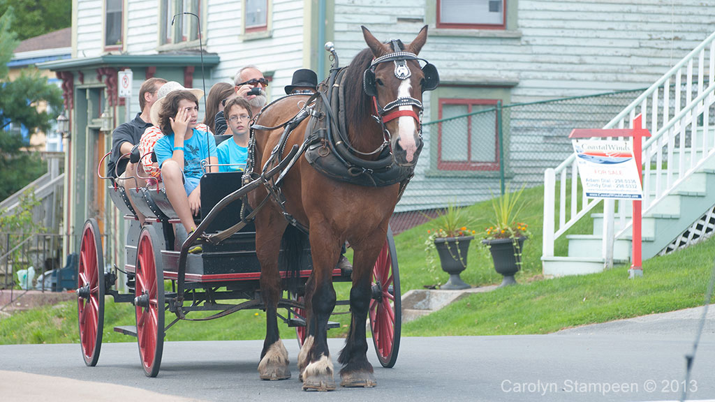 Lunenburg Carrage