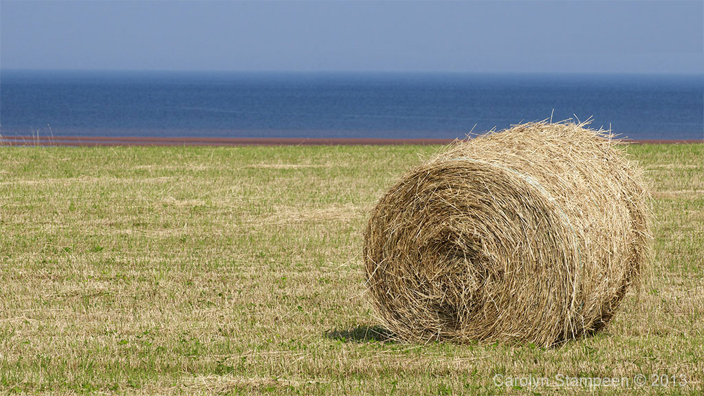 NorthumberlandStrait340