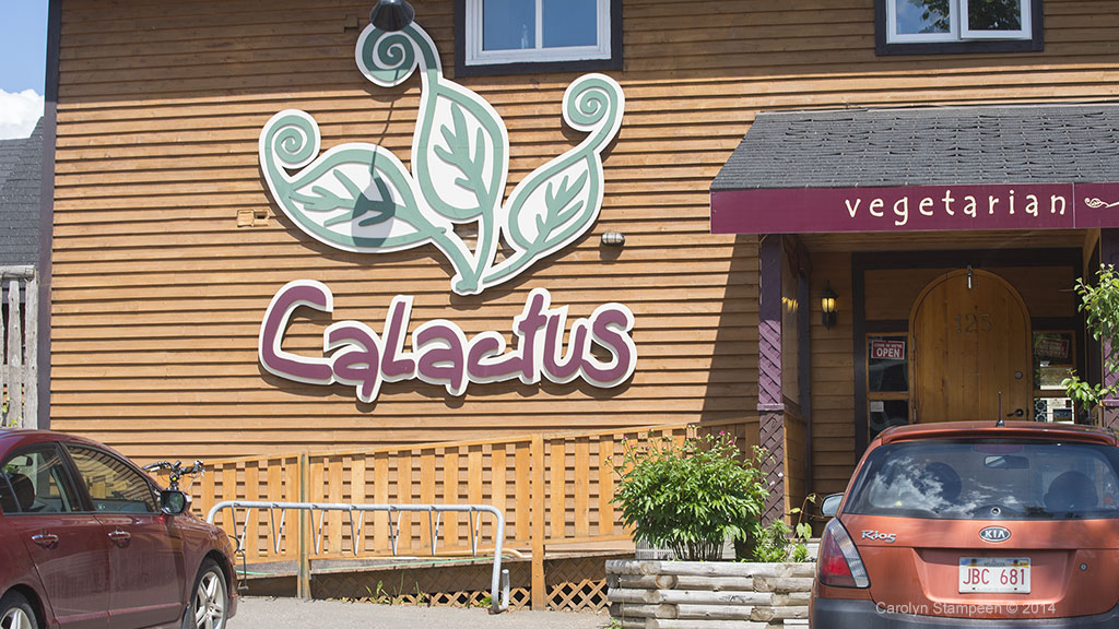 Calactus Restauraunt Moncton