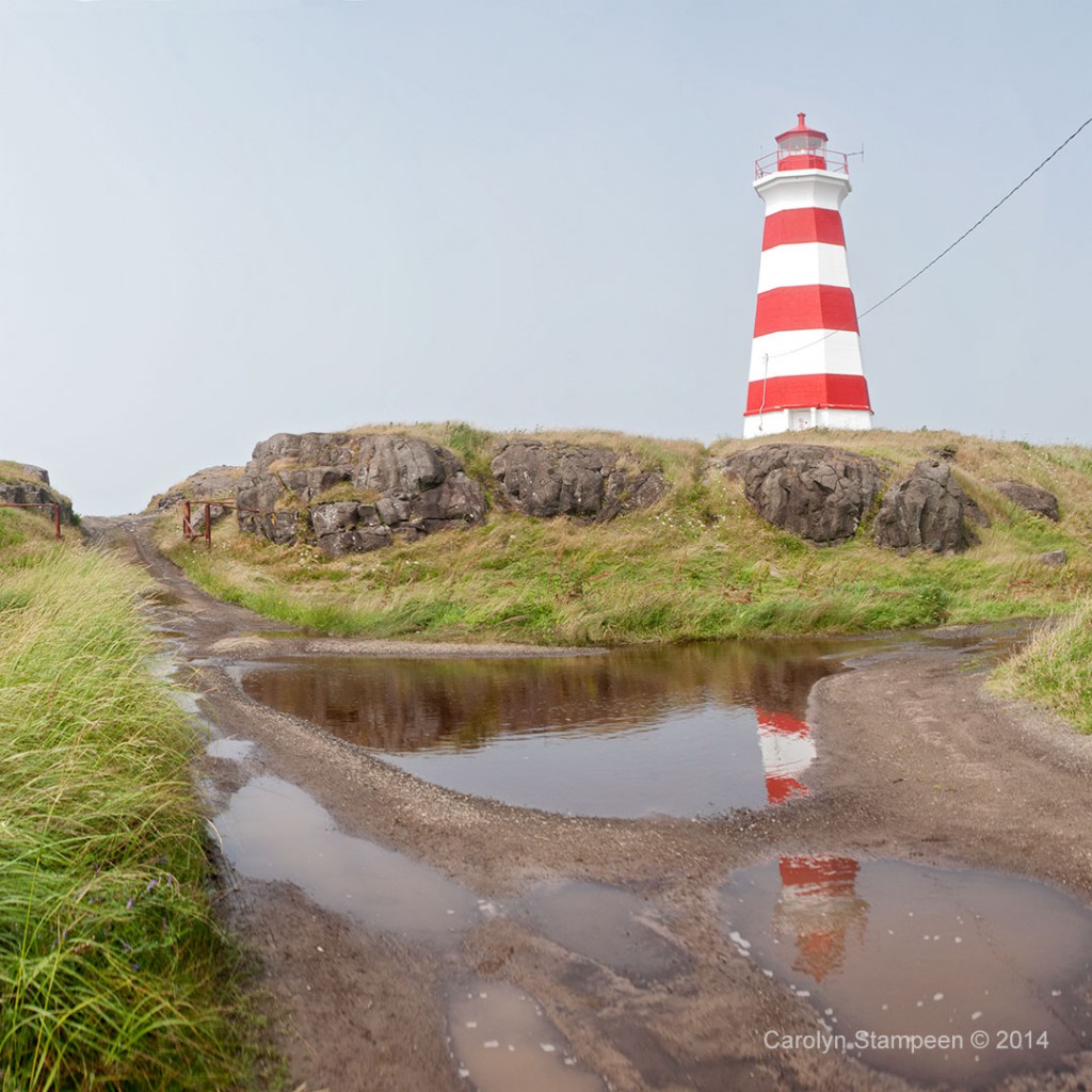 Western Light, Brier Island