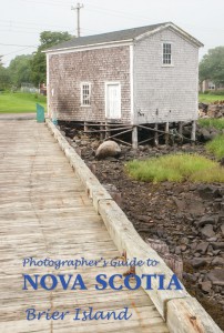 Brier Island Travel Guide