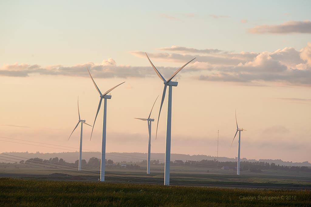 _DSC8395windmills_1024