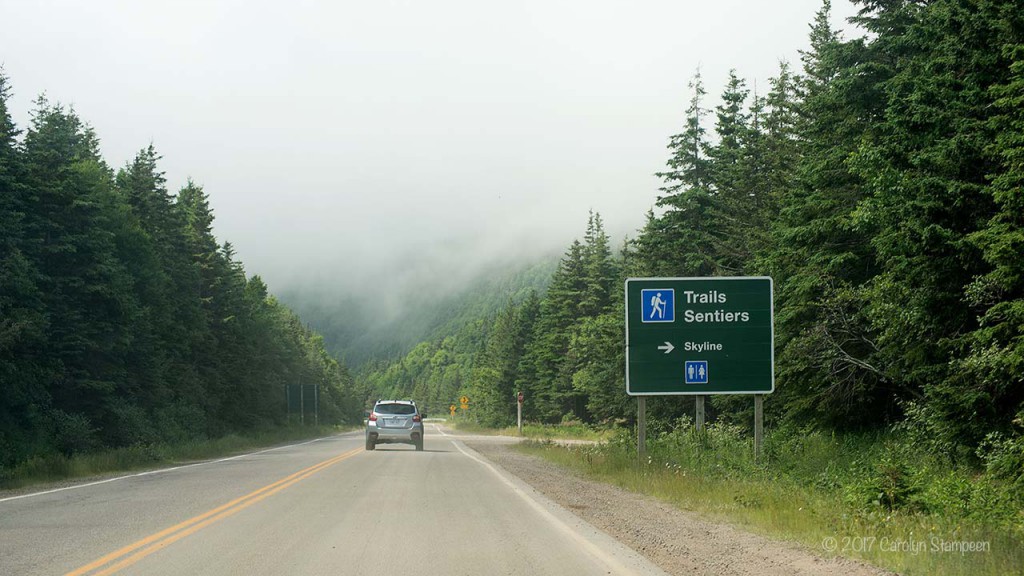 Skyline Trail Sign 8574