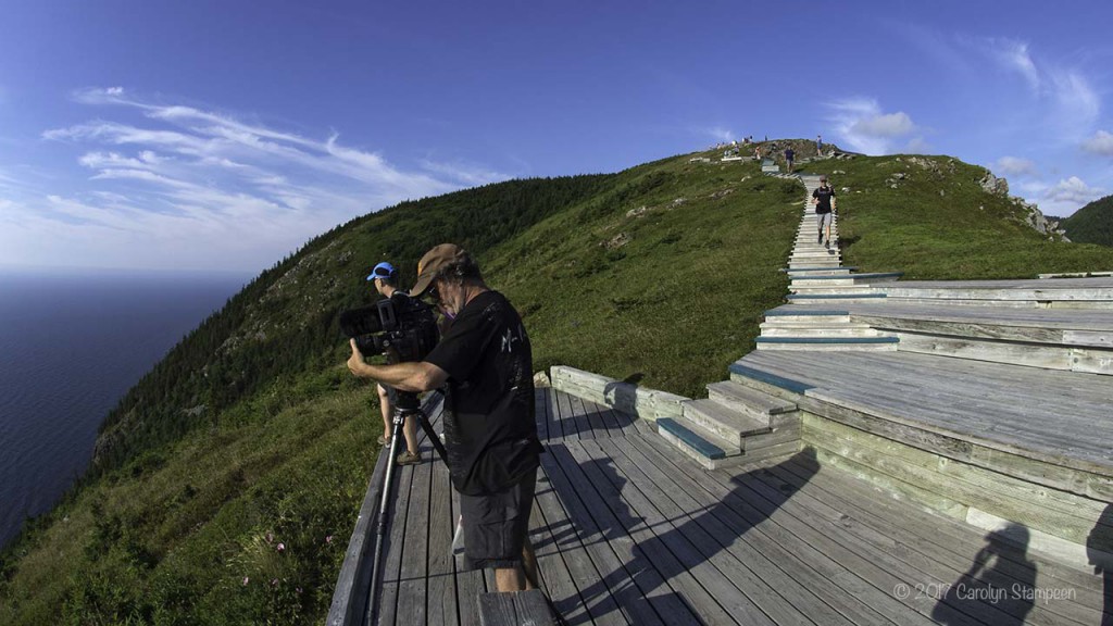 Skyline Trail boardwalk 9096