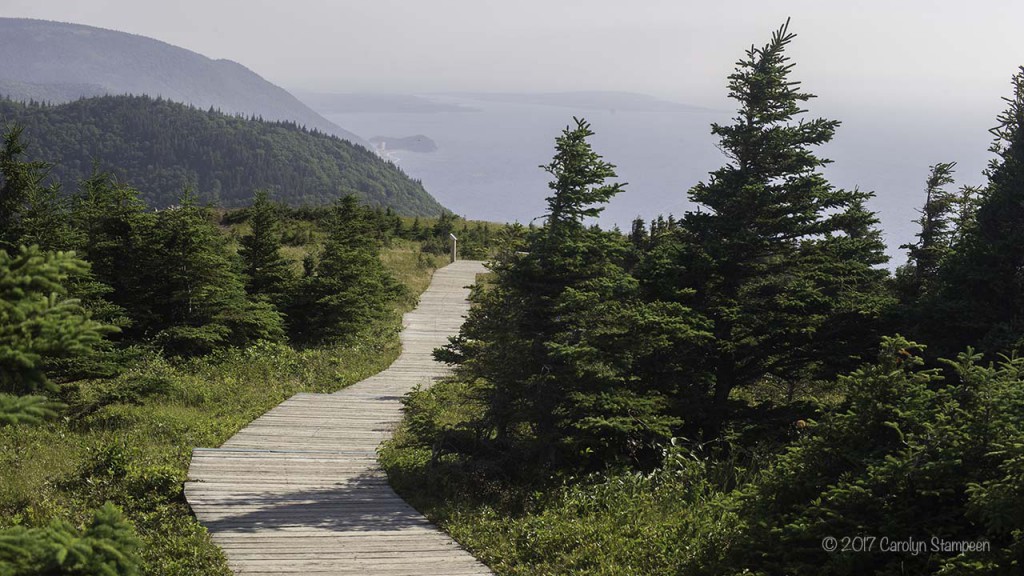 Skyline boardwalk 8906