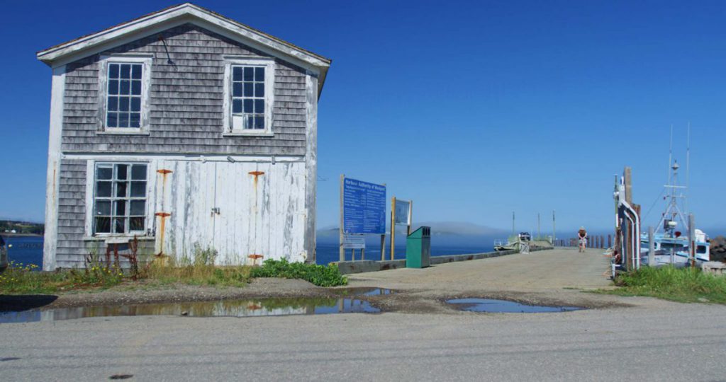 Experience Nova Scotia Brier Island